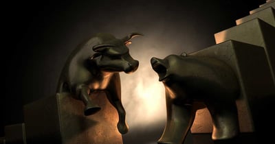 the bull and the bear