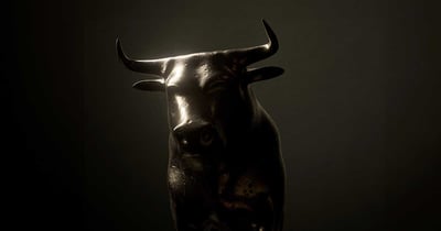 Stock Market Bull